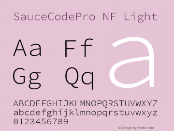 SauceCodePro NF Light Version 2.010;PS 1.000;hotconv 1.0.84;makeotf.lib2.5.63406 Font Sample