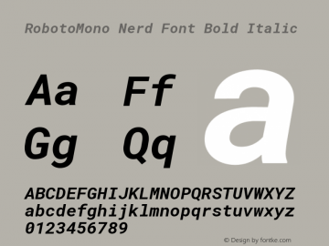 RobotoMono Nerd Font Bold Italic Version 2.000986; 2015; ttfautohint (v1.3)图片样张