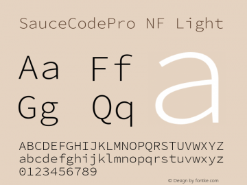 SauceCodePro NF Light Version 2.010;PS 1.000;hotconv 1.0.84;makeotf.lib2.5.63406 Font Sample