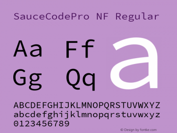 SauceCodePro NF Regular Version 2.010;PS 1.000;hotconv 1.0.84;makeotf.lib2.5.63406图片样张