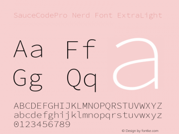 SauceCodePro Nerd Font ExtraLight Version 2.010;PS 1.000;hotconv 1.0.84;makeotf.lib2.5.63406 Font Sample