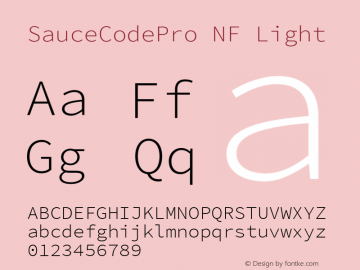 SauceCodePro NF Light Version 2.010;PS 1.000;hotconv 1.0.84;makeotf.lib2.5.63406 Font Sample