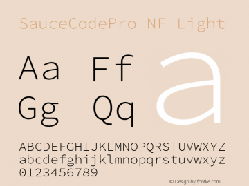 SauceCodePro NF Light Version 2.010;PS 1.000;hotconv 1.0.84;makeotf.lib2.5.63406 Font Sample