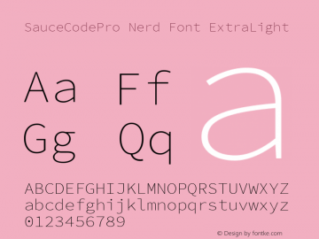 SauceCodePro Nerd Font ExtraLight Version 2.010;PS 1.000;hotconv 1.0.84;makeotf.lib2.5.63406图片样张