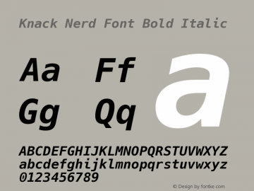 Knack Nerd Font Bold Italic Version 2.019; ttfautohint (v1.4.1) -l 4 -r 80 -G 350 -x 0 -H 265 -D latn -f latn -w G -W -t -X 