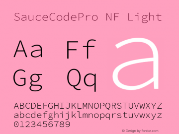 SauceCodePro NF Light Version 2.010;PS 1.000;hotconv 1.0.84;makeotf.lib2.5.63406 Font Sample