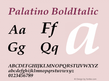 Palatino BoldItalic Version 001.005图片样张