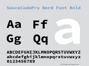 SauceCodePro Nerd Font Bold Version 2.010;PS 1.000;hotconv 1.0.84;makeotf.lib2.5.63406 Font Sample