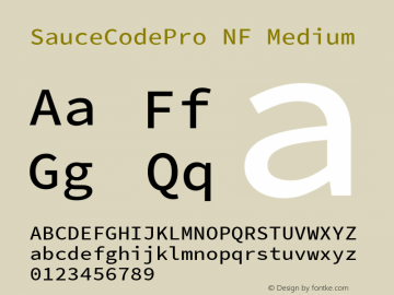 SauceCodePro NF Medium Version 2.010;PS 1.000;hotconv 1.0.84;makeotf.lib2.5.63406 Font Sample