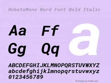 RobotoMono Nerd Font Bold Italic Version 2.000986; 2015; ttfautohint (v1.3) Font Sample