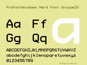 ProFontWindows Nerd Font UniqueID ProFontWindows 2.3图片样张