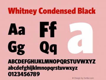 Whitney Condensed Black Version 1.3 Basic图片样张