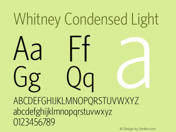 Whitney Condensed Light Version 1.3 Basic图片样张