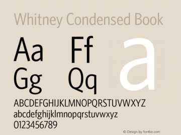 Whitney Condensed Book Version 1.3 Basic图片样张