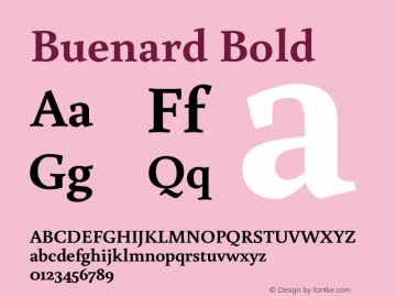 Buenard Bold Version 1.001 2011图片样张