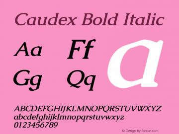 Caudex Bold Italic Version 1.01图片样张