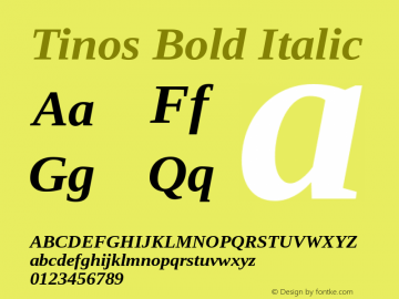 Tinos Bold Italic Version 1.23图片样张