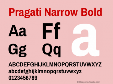 Pragati Narrow Bold Version 1.010; ttfautohint (v1.3) Font Sample