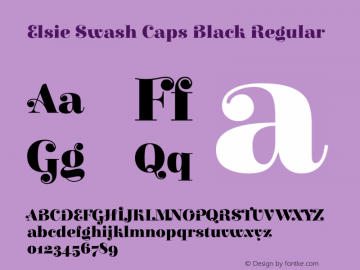 Elsie Swash Caps Black Regular 1.001图片样张