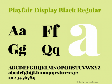 Playfair Display Black Regular Version 1.004;PS 001.004;hotconv 1.0.70;makeotf.lib2.5.58329; ttfautohint (v0.96) -l 42 -r 42 -G 200 -x 14 -w 