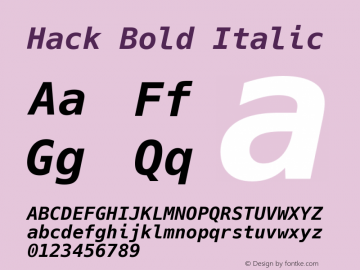 Hack Bold Italic Version 2.020; ttfautohint (v1.5) -l 4 -r 80 -G 350 -x 0 -H 265 -D latn -f latn -w G -W -t -X 