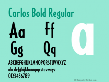 Carlos Bold Regular Version 1.000;com.myfonts.easy.castletype.carlos.bold.wfkit2.version.34Rt图片样张