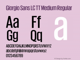 Giorgio Sans LC TT Medium Regular 1.001 Font Sample