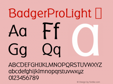 BadgerProLight ☞ Version 4.001;com.myfonts.easy.redrooster.badger-pro.light.wfkit2.version.3nPx图片样张