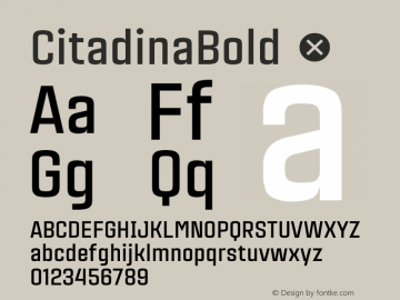 CitadinaBold ☞ Version 001.001 ;com.myfonts.easy.graviton.citadina.bold.wfkit2.version.4AeV Font Sample