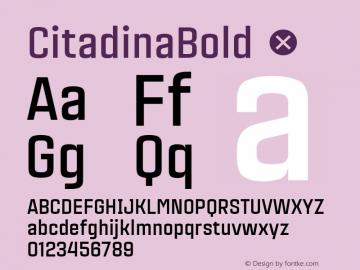 CitadinaBold ☞ Version 001.001 ;com.myfonts.easy.graviton.citadina.bold.wfkit2.version.4AeV Font Sample