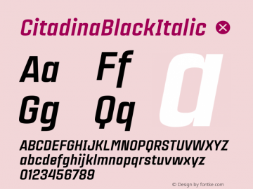 CitadinaBlackItalic ☞ Version 001.001 ;com.myfonts.easy.graviton.citadina.black-italic.wfkit2.version.4AeY图片样张