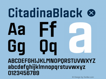 CitadinaBlack ☞ Version 001.001 ;com.myfonts.easy.graviton.citadina.black.wfkit2.version.4AeX图片样张