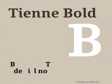 Tienne Bold Version 1.000图片样张