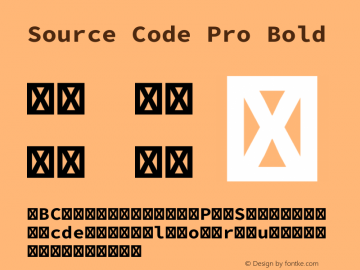 Source Code Pro Bold Version 1.017;PS Version 1.000;hotconv 1.0.70;makeotf.lib2.5.5900 Font Sample