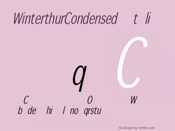 WinterthurCondensed Italic 1.0 2005-03-31图片样张