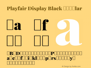 Playfair Display Black Regular Version 1.002;PS 001.002;hotconv 1.0.70;makeotf.lib2.5.58329; ttfautohint (v0.93) -l 42 -r 42 -G 200 -x 14 -w 