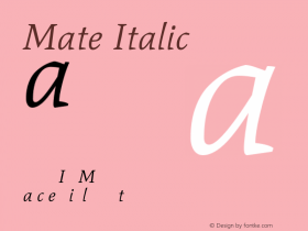 Mate Italic Version 1.002图片样张