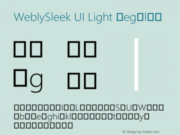 WeblySleek UI Light Regular Version 0.10 January 23, 2013图片样张