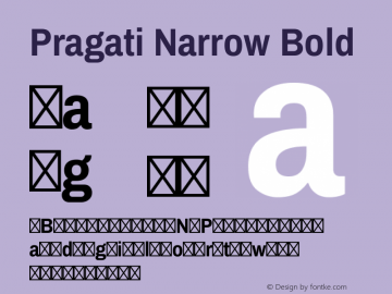 Pragati Narrow Bold Version 1.010; ttfautohint (v1.3)图片样张