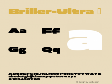 Briller-Ultra ☞ Version 001.000;com.myfonts.kostic.briller.ultra.wfkit2.h18t Font Sample