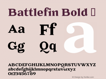 Battlefin Bold ☞ Version 1.001;com.myfonts.kostic.battlefin.bold.wfkit2.h4gr图片样张