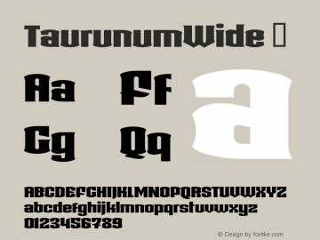 TaurunumWide ☞ Version 001.001;com.myfonts.kostic.taurunum.wide.wfkit2.h4gr图片样张