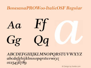 BonesanaPROW00-ItalicOSF Regular Version 1.00 Font Sample