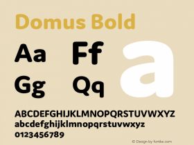 Domus Bold Version 1.000;PS 001.000;hotconv 1.0.88;makeotf.lib2.5.64775 Font Sample