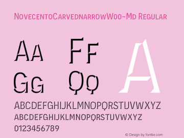 NovecentoCarvednarrowW00-Md Regular Version 1.10 Font Sample