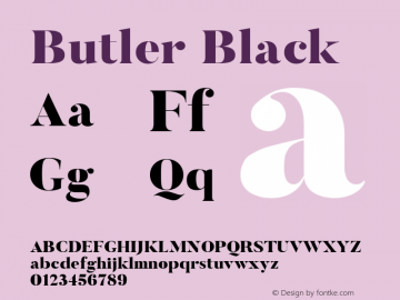 Butler Black 1.000图片样张