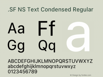 .SF NS Text Condensed Regular 12.0d8e1图片样张