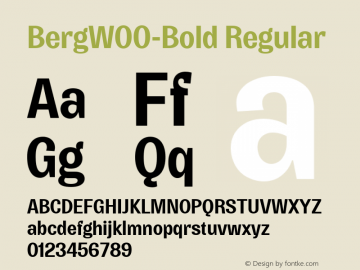 BergW00-Bold Regular Version 0.00 Font Sample