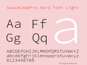 SauceCodePro Nerd Font Light Version 2.010;PS 1.000;hotconv 1.0.84;makeotf.lib2.5.63406图片样张