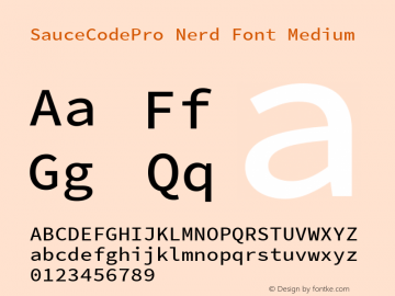 SauceCodePro Nerd Font Medium Version 2.010;PS 1.000;hotconv 1.0.84;makeotf.lib2.5.63406图片样张